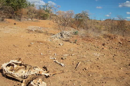 Sob efeitos do El Niño Vale do Piancó sofre pausa das chuvas